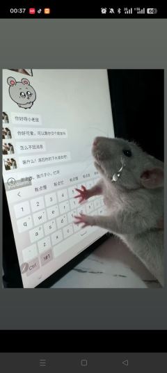 三位数的稿小画师给我画毁了。。我的钱不是钱么呵呵🙂