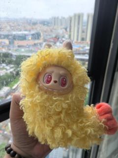 就当一次大韭菜！！