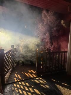 请你不要讨厌这个人间。
剧本:望辰
体验角色:佳人
剧本评分