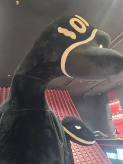20250607午
很沉浸很好玩的一部剧!
开场是从鹅肚子进