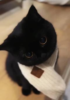 “我们之间很近，只隔着一道月光的距离。  
你的手穿过清辉，