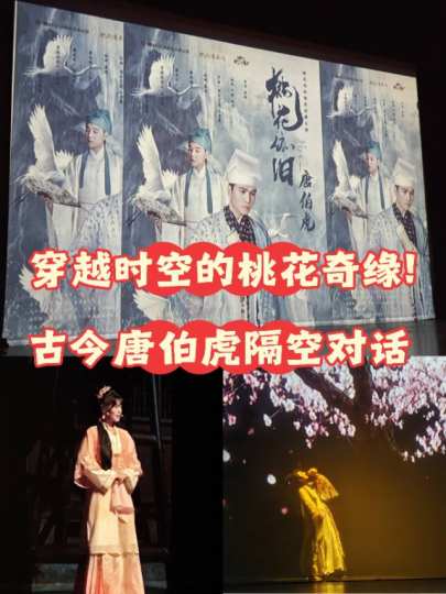 ❤️剧情概述：
通过鲜活故事将唐伯虎笔下“桃花坞里桃花庵，桃花庵下桃花仙”的诗意画卷精妙还原。见证了两位相隔500年的唐伯虎在桃花坞的奇妙相遇。一位是充满激情前途光明的新锐演员唐晓生，另一位则是仕途坎