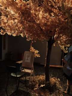 辛吉路的画材店,让每个观众沉浸在那个福利院的故事,有中二有热