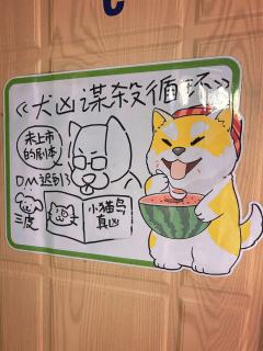 冲着猫岛的好口碑，在犬山面世不久就约了一车来体验，只能说果然