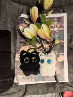 狗血是真的,遗憾也是真的,继无名女尸后,喵嘎回到舒适圈,这可