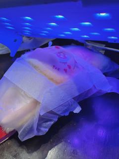 可乐爆改女明星哈哈哈哈