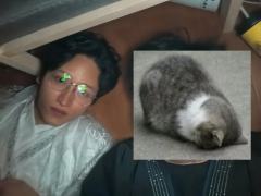 《如故》古风,满地爬,超好玩(重恐)
体验角色:连世疆

