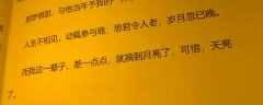 “你是春天的恩诏”
“我说过，我会爱你一辈子，是你的一辈子，