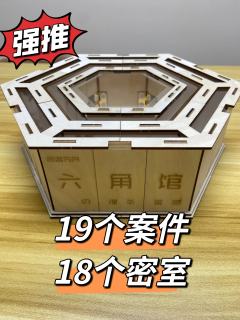 完全超越《时针岛の谋杀谜题》,手法爱好者有福了!
类型:密