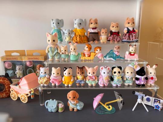 都忘了家里还有这些崽😹