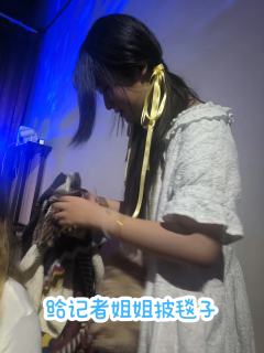 在去布雷诺/回广府/去补齐九宫格的
2000/2005/20