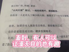 在去布雷诺/回广府/去补齐九宫格的
2000/2005/20