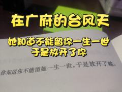 在去布雷诺/回广府/去补齐九宫格的
2000/2005/20