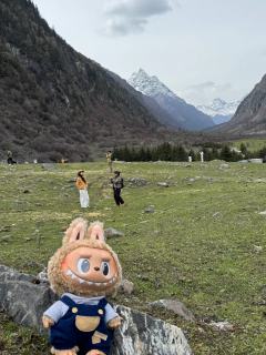 拉布布上雪山🏔️