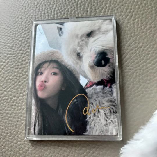 一盒中了欣欣的金签哦