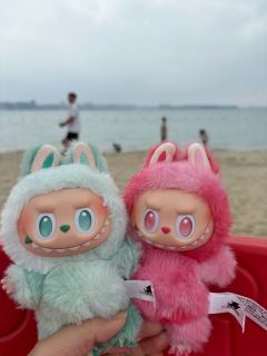 带着我的拉布布去海边，吹海风 