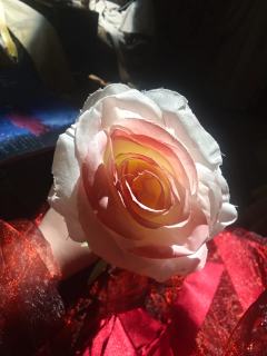 “怎样才能让你不怕，怎样你才能相信朕。”
“只要你要，只要我