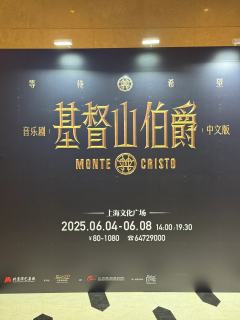 终于看到了音乐剧基督山伯爵的中文版，把大仲马的经典小说放到舞