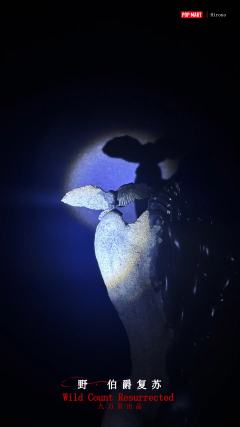 幽暗中，王座半掩，他如暗夜主宰。野·伯爵复苏，西装下藏着诡谲