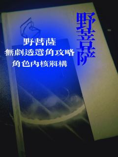 我是野菩萨 这是我的庙
找到我 杀掉我 解脱我 你们就可以从