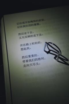 我是野菩萨 这是我的庙
找到我 杀掉我 解脱我 你们就可以从
