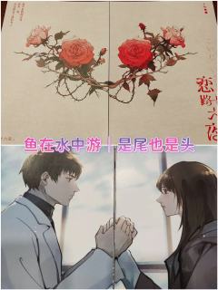 🍁综合体验7.3分🍁
📚弁言📚
1️⃣以上评分是综