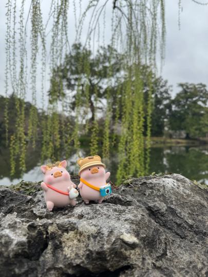 猪猪旅游