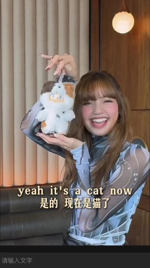 Lisa同款三花猫bob搪胶来咯～