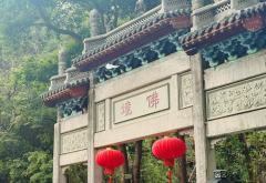 谁许你天上人间,谁同你恨海情天。
羌,以身入局的我,却动了情