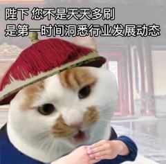 陛下 您不是音乐剧韭菜 是为文化产业发展添砖加瓦
陛下 您不