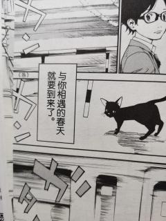 跪求小薰复活
