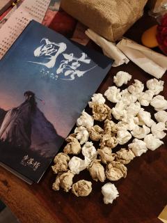 剧本：阙落
角色：孝瓘
DM：橙子
类型：古风 情感
总体评