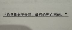“你是徘徊于世间,最后的死亡回响。”
体验店铺:入剧放大镜