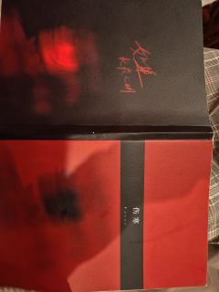 如果长夜无明
伤寒
现代思辨本,不是传统哭哭本。有点意识流,