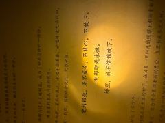 这个本我真的能劝一个是一个
玩了至少大几十个情感本了,也坐过