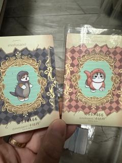 卡仕界猫福珊迪卡