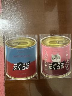 卡仕界猫福珊迪卡