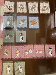 卡仕界猫福珊迪卡