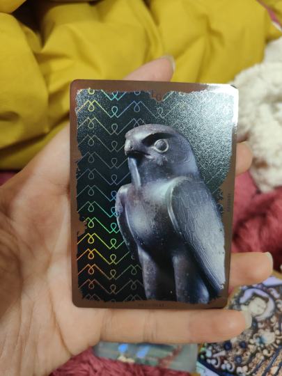 不认识捏