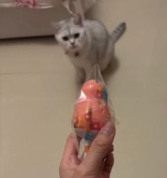 光熙呀 我把你的发带弄没了😂😂