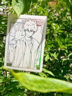 今天阳光很好,顺带把卡拿出来拍了🥰