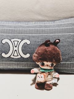 泡泡玛特这次的迪士尼dimoo联名做工真的是好，希望以后的l