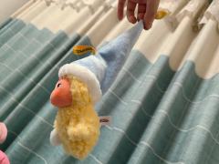 星星人一代，一代刚上时拿到热款的心情仿佛还尤在，现在都出二代