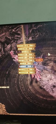 野生的法器，用了两个e就变成这样了，那个查价器搜不到这种，也