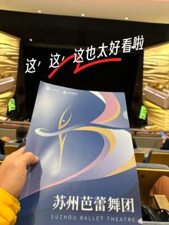上周五冒雨去上海国际舞蹈中心看了苏州芭蕾舞团的《请记住我·芭