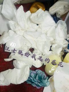 （内含伴手礼指南）有江士骁的地方，才是我的家。家门口有桃树、