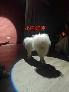 人生会有很多不理解,比如打璃火的我。
类型:吵架 欢乐