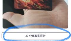 清明假期「福福」&「鉴定流程」:
一.pp的「福福」
✨『点
