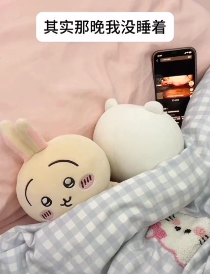 没想到你是这样的吉伊🥹
