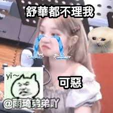 琦表情包，拿图吱一声